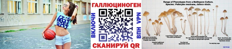 Купить где  Моршанск  Галлюциногенные грибы мухоморы 